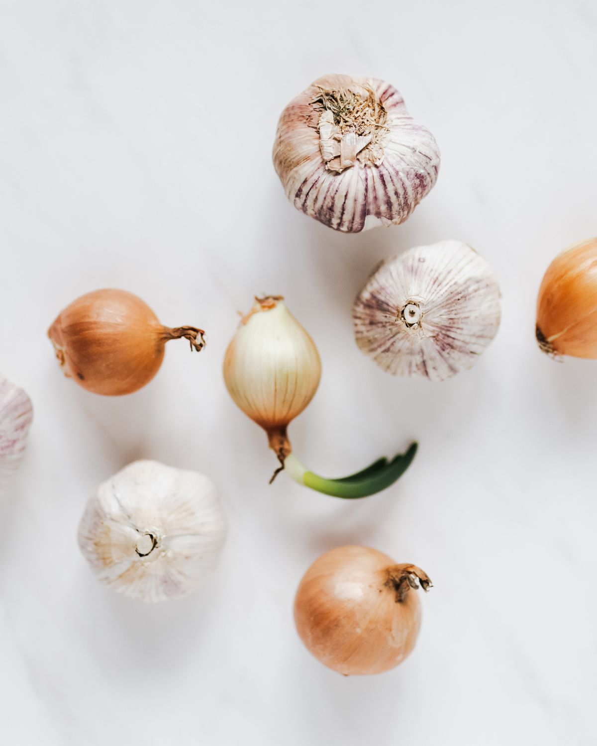 onions and garlic on table - prebiotic 