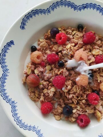 cereal in bowl with added nuts and seeds and from fruit